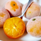 Frozen Mandarin Orange Sorbet?