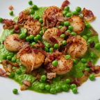 Scallops w/ Sweet Pea Puré, Shallots and Bacon